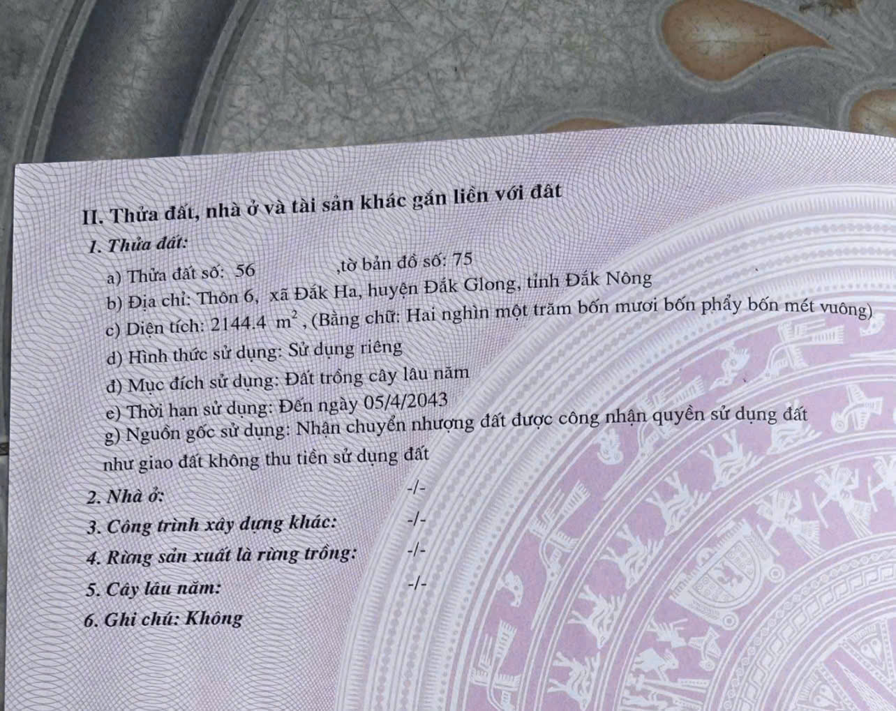 CHÍNH CHỦ CẦN BÁN LÔ ĐẤT ĐẸP – THÔN 6, ĐẮK HA   - ĐĂK NÔNG 15991283
