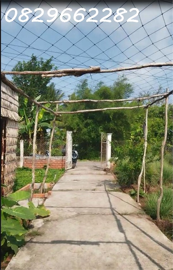Bán Đất Thổ Cư 864m2 Sổ Hồng đường Nguyễn An Ninh Tân Quy Đông, Sa Đéc, Đồng Tháp, giá 2.5 Tỷ 15991315