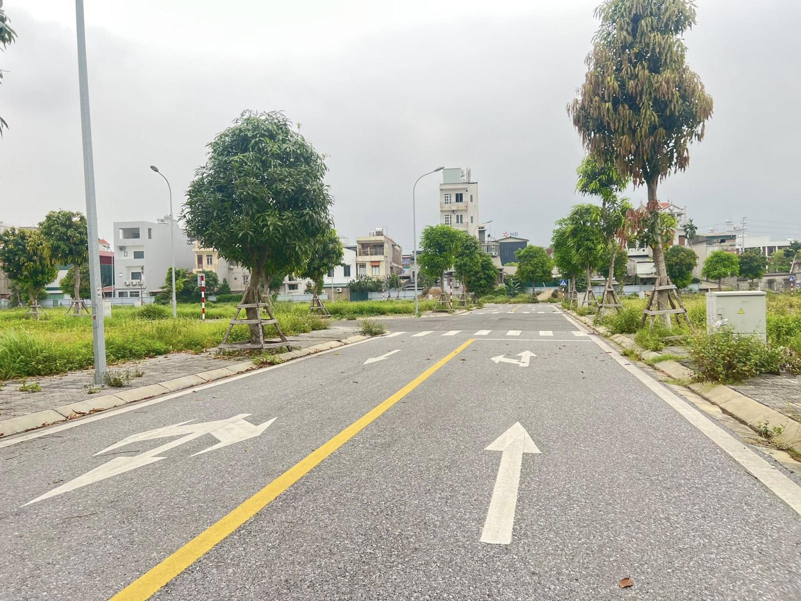 Bán lô đất mặt phố KDC Trái Bầu, ph Lê Thanh Nghị, TP HD, 69.75m2, mt 4.5m, đường 13.5m 15991346