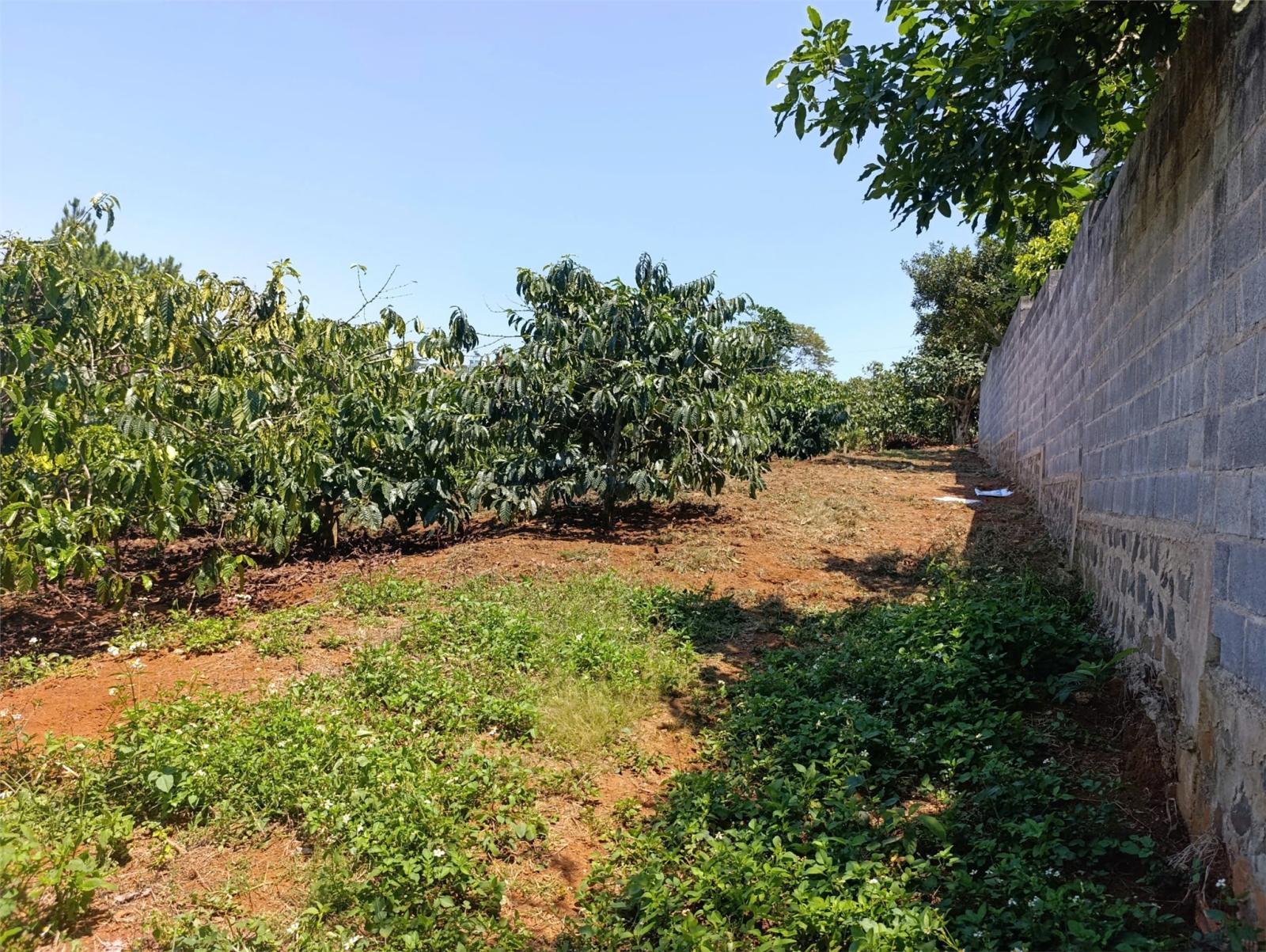 CHUYỂN ĐỔI ĐẦU TƯ EM XIN TRAO LẠI LÔ ĐẤT ĐẦU TƯ ĐẸP TẠI TRUNG TÂM Thị Trấn Di Linh 15991412