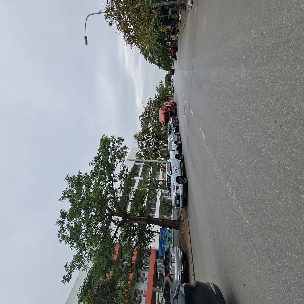 🔥 62m2 TĐC Trâu Quỳ – MT 4m – đường 13m – view vườn hoa – 11 tỷ x 🔥 📞 ☎️ 0989894845 📞 ☎️ 15991456