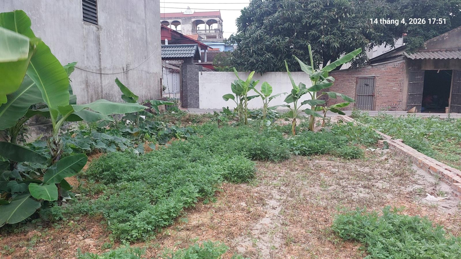 Đất Xuân Nộn, còn 1 lô, 96m2, mt6.5m, ô tô, 5.3 tỷ, Đông Anh. 15991518