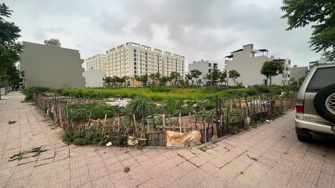 hàng hiếm bán đất lô góc đẹp rộng gần 130m2 ngay khu C - kdt Vũ Phúc sầm uất 15991531