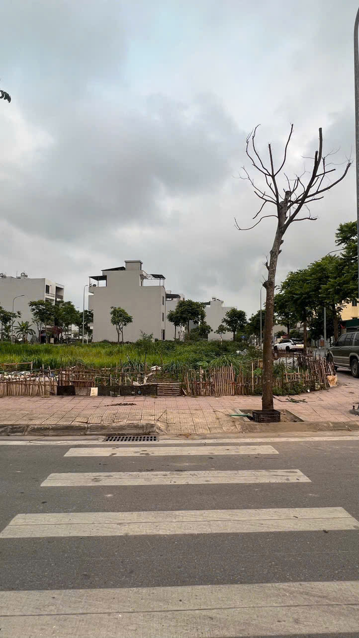 hàng hiếm bán đất lô góc đẹp rộng gần 130m2 ngay khu C - kdt Vũ Phúc sầm uất 15991531