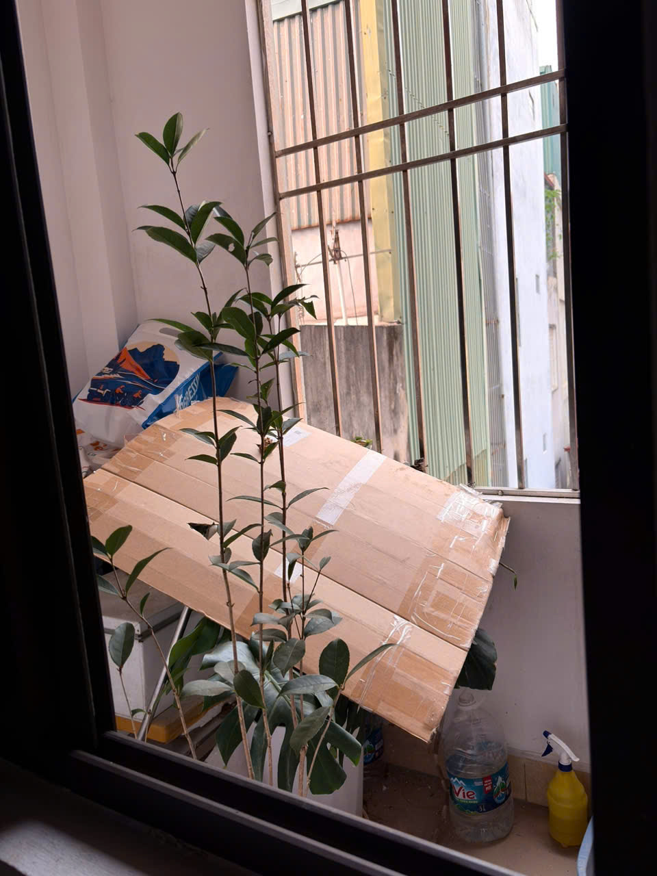 CHO THUÊ PHÒNG KHÉP KÍN , BAN CÔNG THOÁNG MÁT TẠI TRUNG HÒA, CẦU GIẤY, HÀ NỘI- TẶNG 500K 15991539