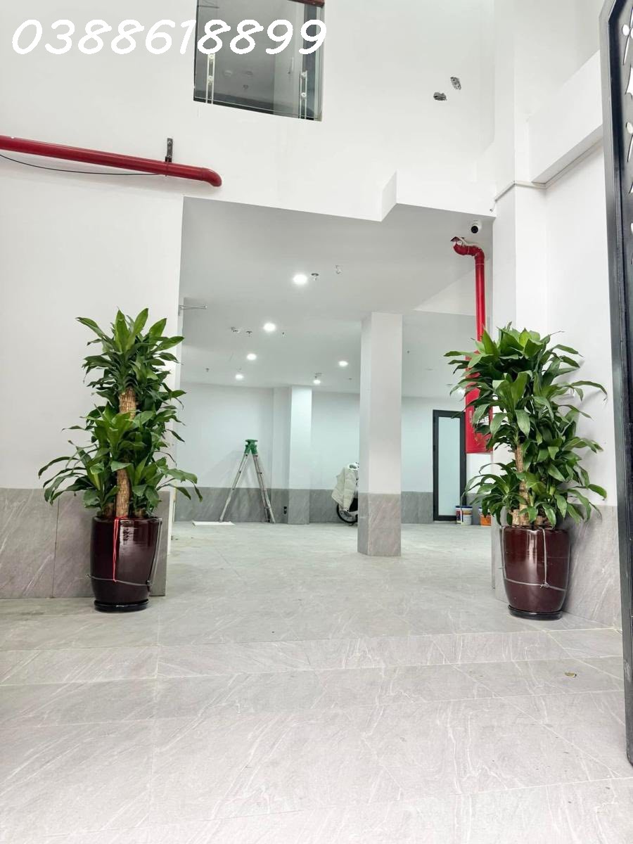 🏡 BÁN TÒA APARTMENT VƯƠNG THỪA VŨ - THANH XUÂN - 95M2 - 7 TẦNG TM - MT 8.4M - DÒNG TIỀN 1.5 TỶ/NĂM 15991550