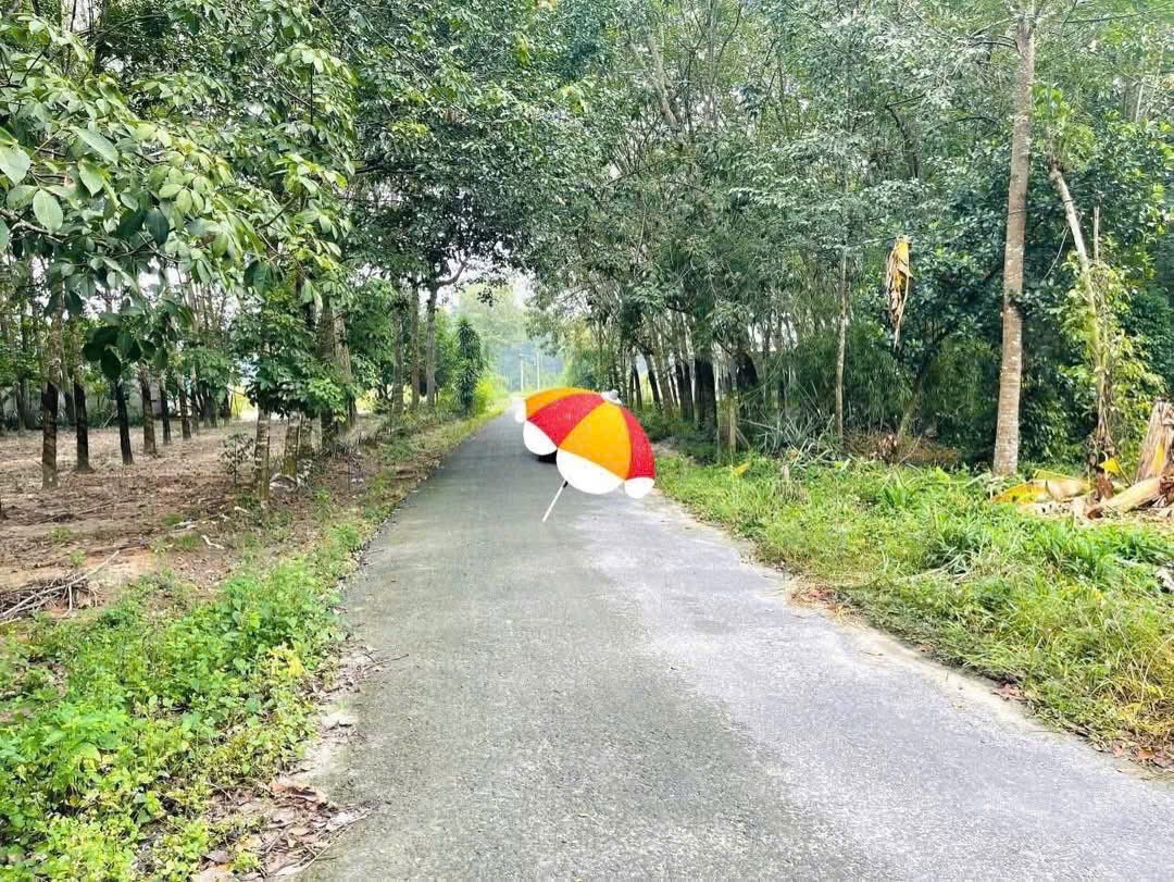 🚨 BÁN GẤP! Đất gần trung tâm Minh Thạnh – 712m² giá rẻ chốt ngay kẻo mất! 15991641