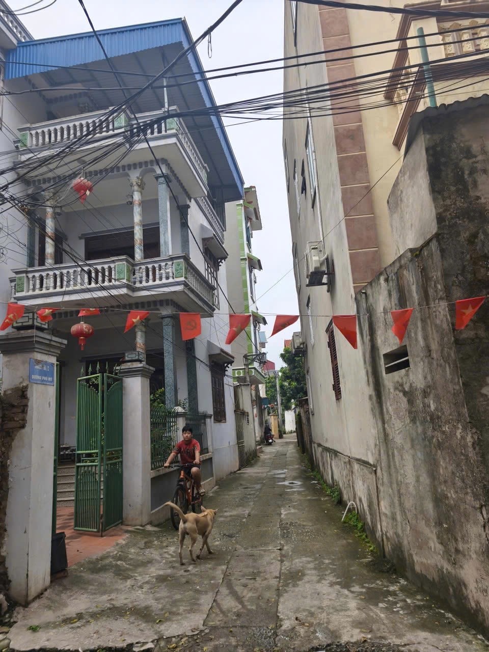 SỞ HỮU NGAY Lô Đất Sổ Đỏ Chính Chủ phường Biên Giang, quận Hà Đông, tp Hà Nội cũ 15991753