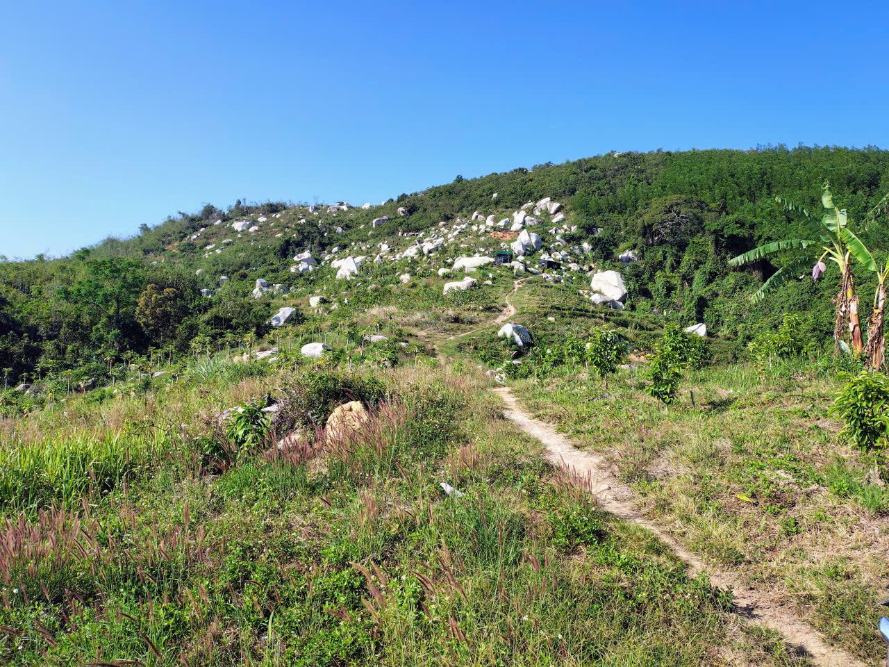 ĐẤT ĐẸP – GIÁ TỐT – CẦN BÁN GẤP LÔ ĐẤT – Thôn Quãng Phú – Xã Cam Hiệp – Huyện Cam Lâm – Khánh Hòa 15991759