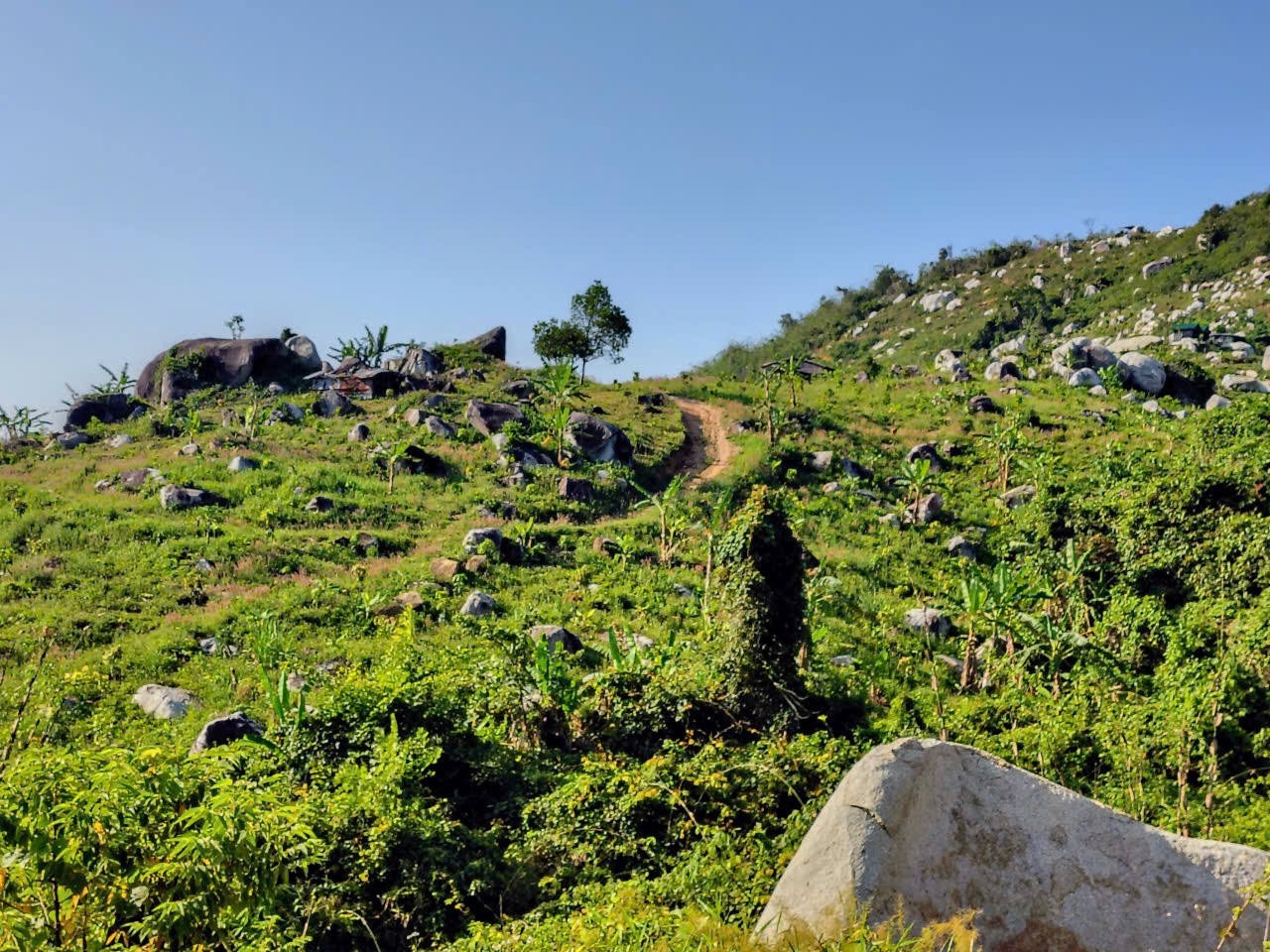 ĐẤT ĐẸP – GIÁ TỐT – CẦN BÁN GẤP LÔ ĐẤT – Thôn Quãng Phú – Xã Cam Hiệp – Huyện Cam Lâm – Khánh Hòa 15991759