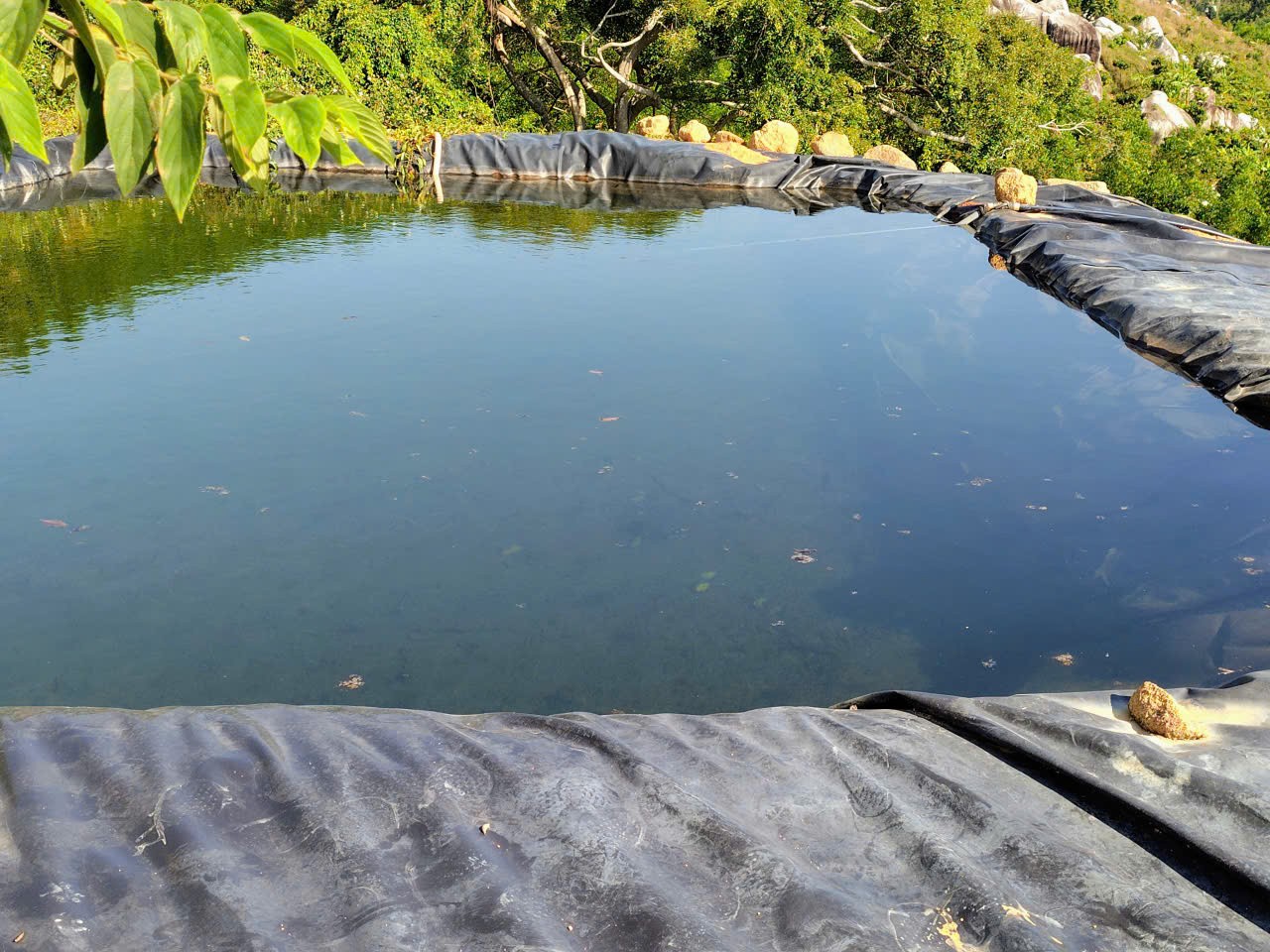 ĐẤT ĐẸP – GIÁ TỐT – CẦN BÁN GẤP LÔ ĐẤT – Thôn Quãng Phú – Xã Cam Hiệp – Huyện Cam Lâm – Khánh Hòa 15991759