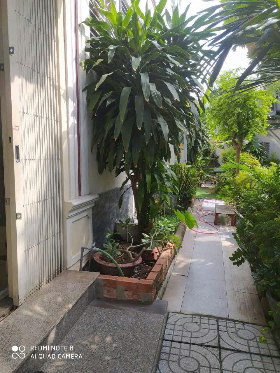 MẶT TIỀN TÂN XUÂN – TÔ KÝ – 5x25M – NHÀ 3 TẦNG + SÂN VƯỜN – CHỈ 8.8 TỶ 15991789