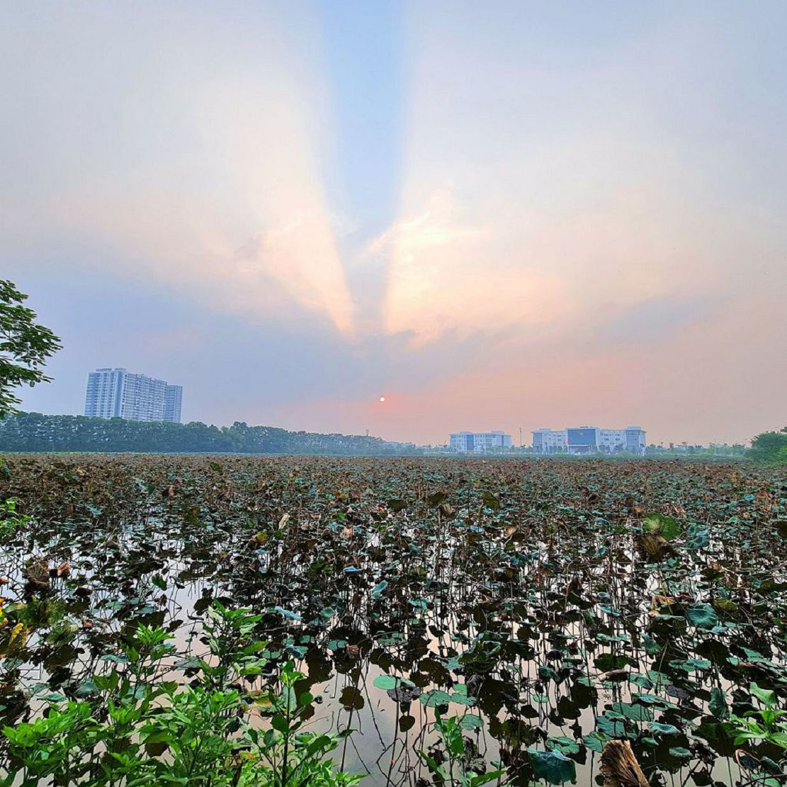 Bán đất trung tâm Trâu Quỳ Gia Lâm 36m2 đường 22m kinh doanh tốt giá 7 tỷ x Lh 0989894845 15991819