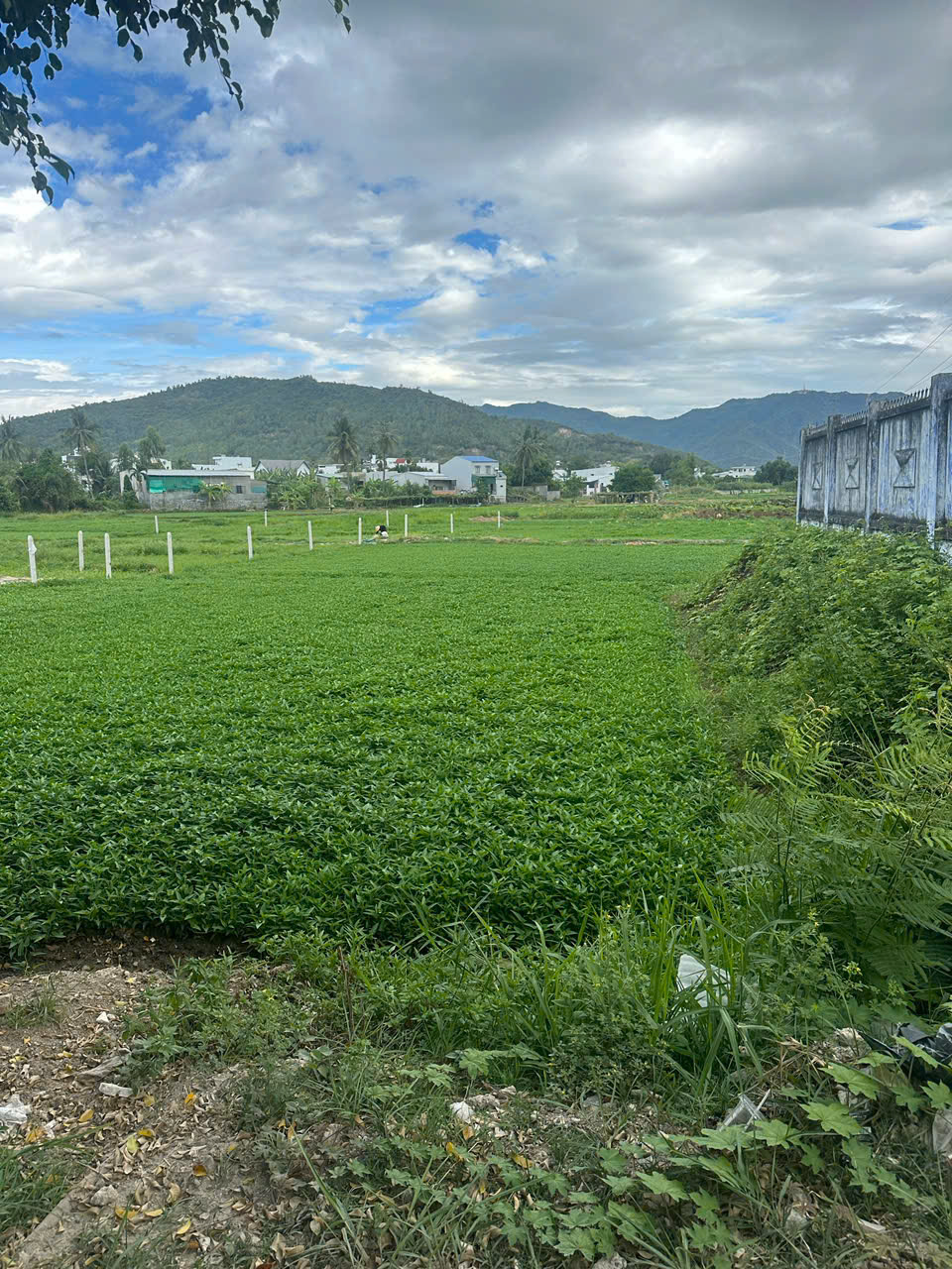 BÁN ĐẤT GIÁ TỐT – CƠ HỘI ĐẦU TƯ SINH LỜI – TP NHA TRANG – KHÁNH HÒA 15991818