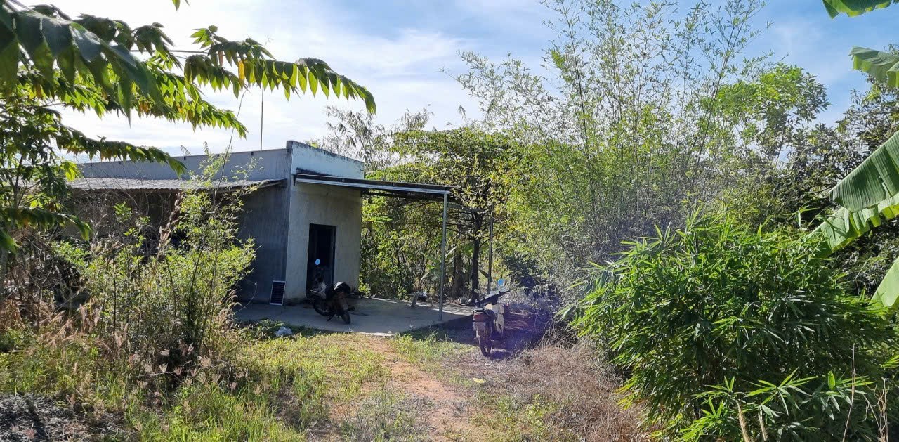 ĐẤT ĐẸP – GIÁ TỐT CẦN BÁN GẤP LÔ ĐẤT VỊ TRÍ ĐẮC ĐỊA TẠI Xã Phan Lâm. Bắc Bình, Bình Thuận 15991872