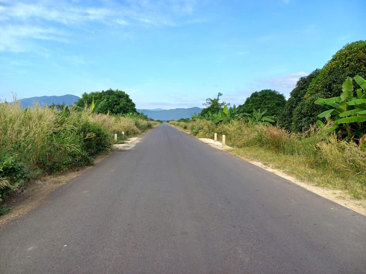 ĐẤT ĐẸP – GIÁ TỐT CẦN BÁN GẤP LÔ ĐẤT VỊ TRÍ ĐẮC ĐỊA TẠI Xã Phan Lâm. Bắc Bình, Bình Thuận 15991872