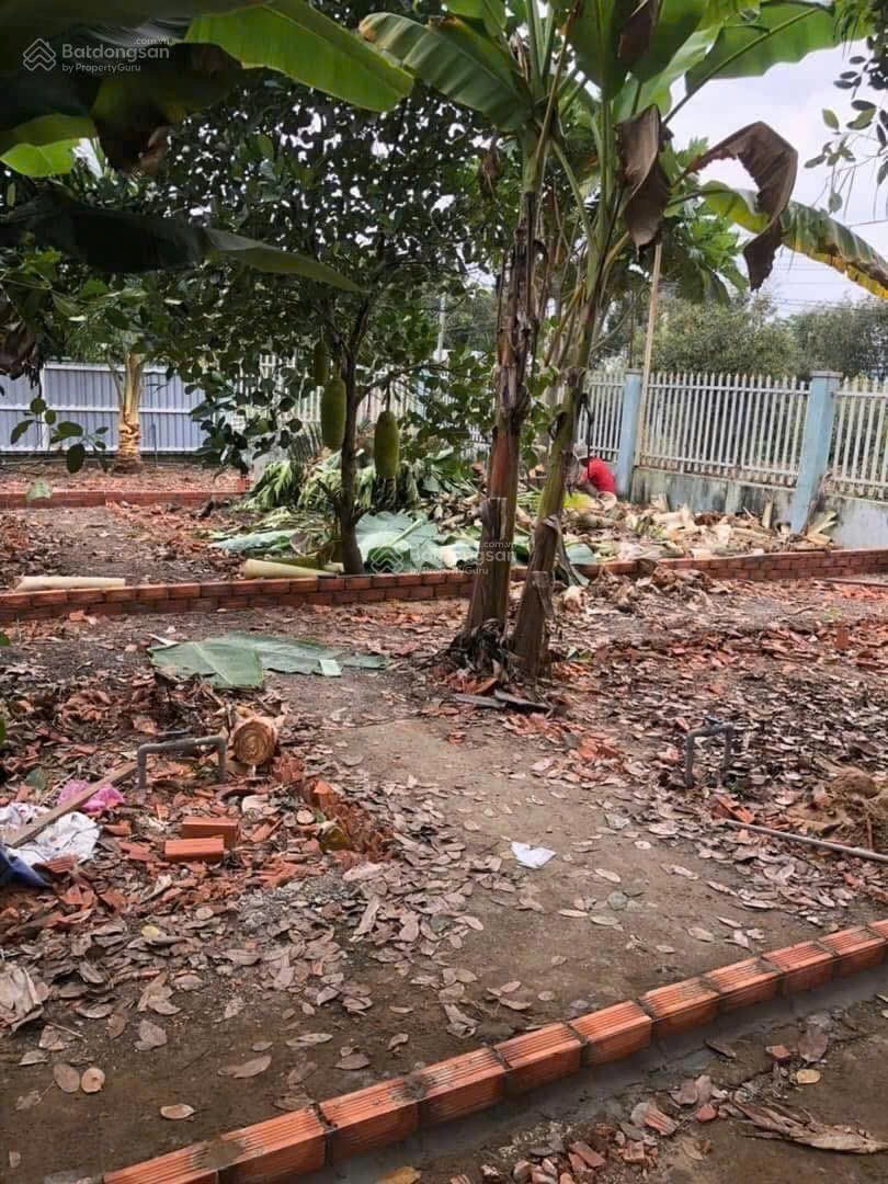 ĐẤT THỔ CƯ ĐẸP – GIÁ TỐT CHÍNH CHỦ CẦN BÁN GẤP tại Xã Thạnh Lợi, Huyện Bến Lức, Long An 15991878