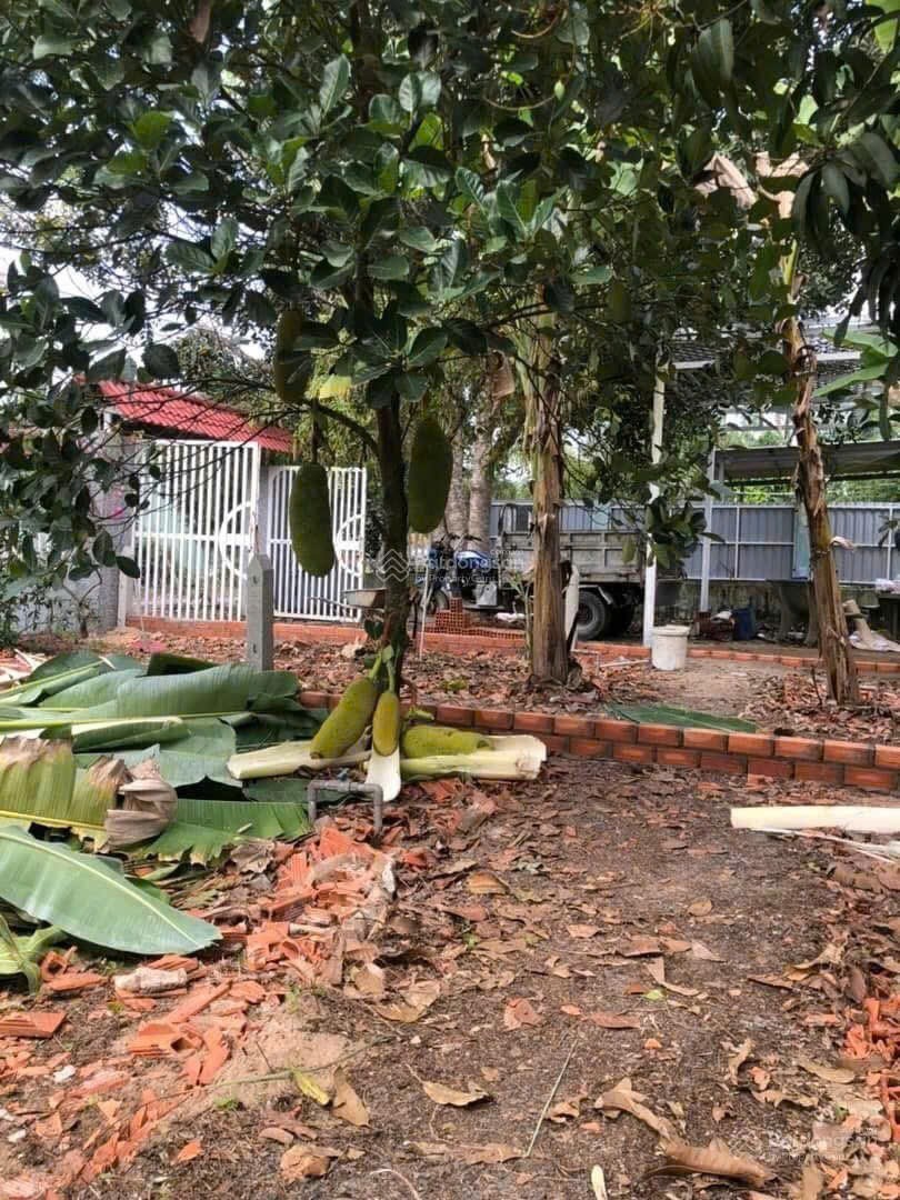 ĐẤT THỔ CƯ ĐẸP – GIÁ TỐT CHÍNH CHỦ CẦN BÁN GẤP tại Xã Thạnh Lợi, Huyện Bến Lức, Long An 15991878