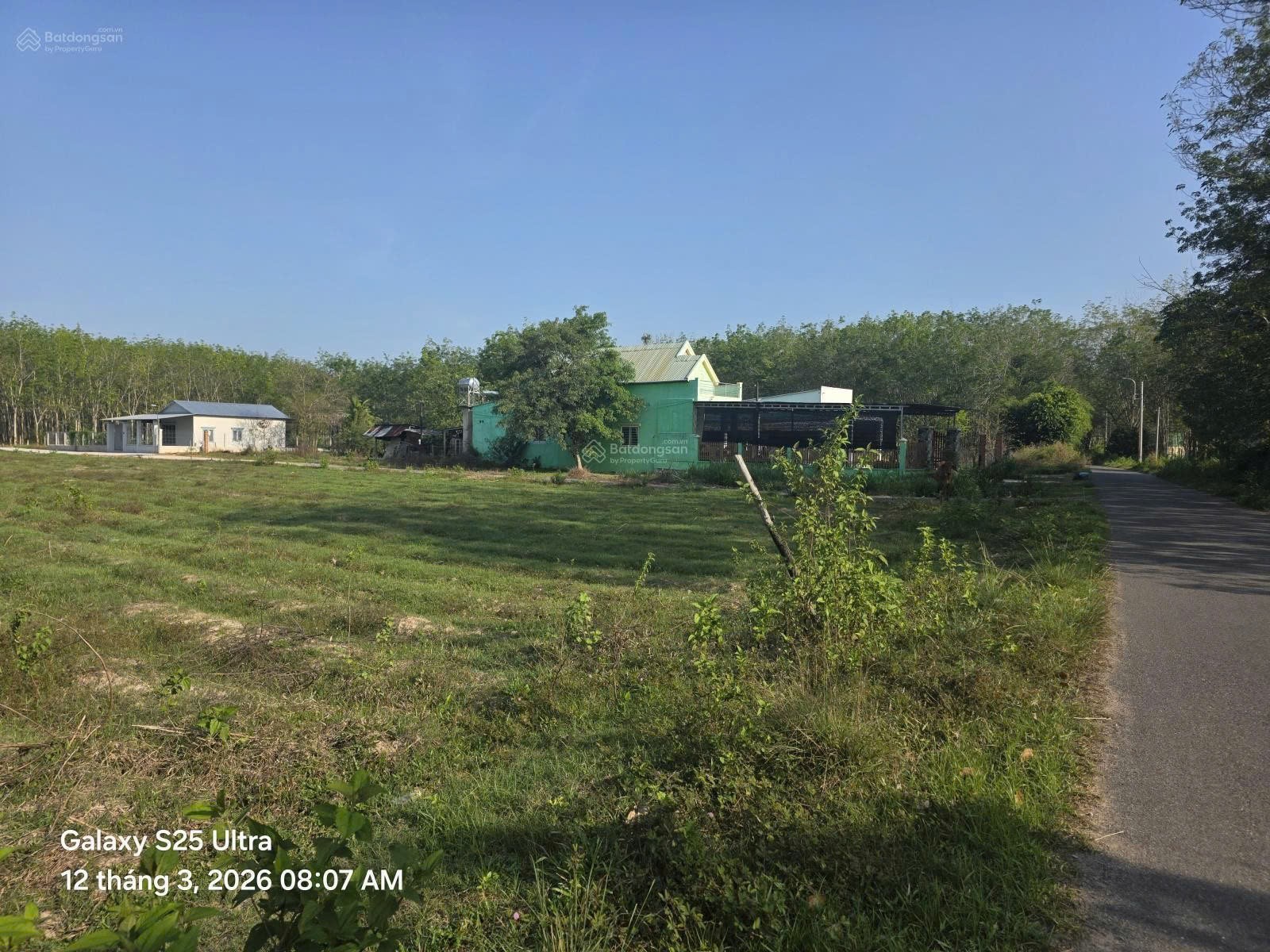 ĐẤT ĐẸP – GIÁ TỐT–CẦN BÁN ĐẤT 3 MẶT TIỀN TẠI  Đường Đào Thị Thơm, Xã An Nhơn Tây, Củ Chi, TP.HCM 15991963