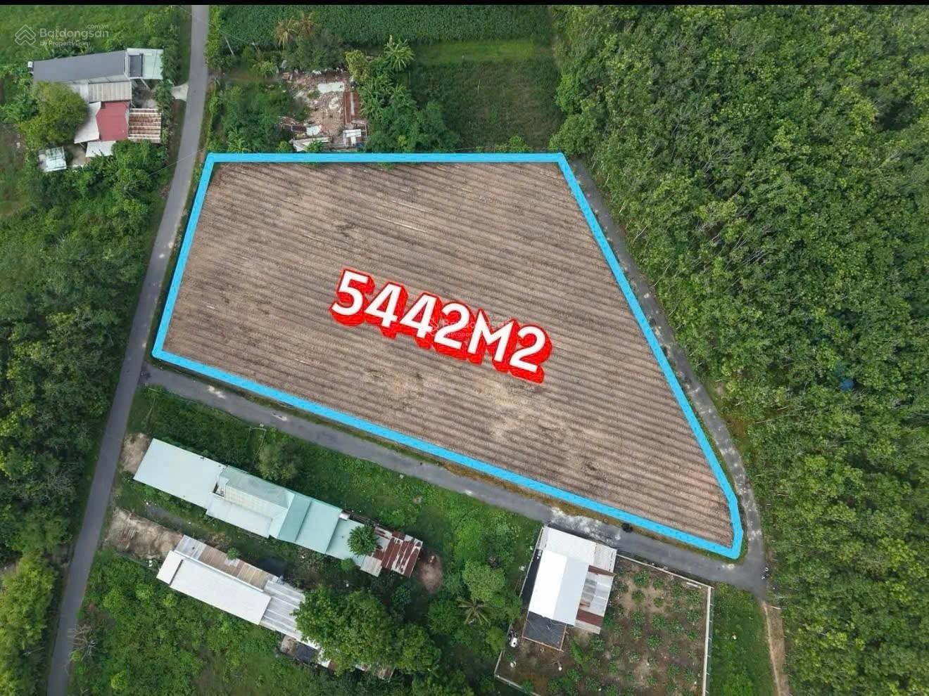 ĐẤT ĐẸP – GIÁ TỐT–CẦN BÁN ĐẤT 3 MẶT TIỀN TẠI  Đường Đào Thị Thơm, Xã An Nhơn Tây, Củ Chi, TP.HCM 15991963