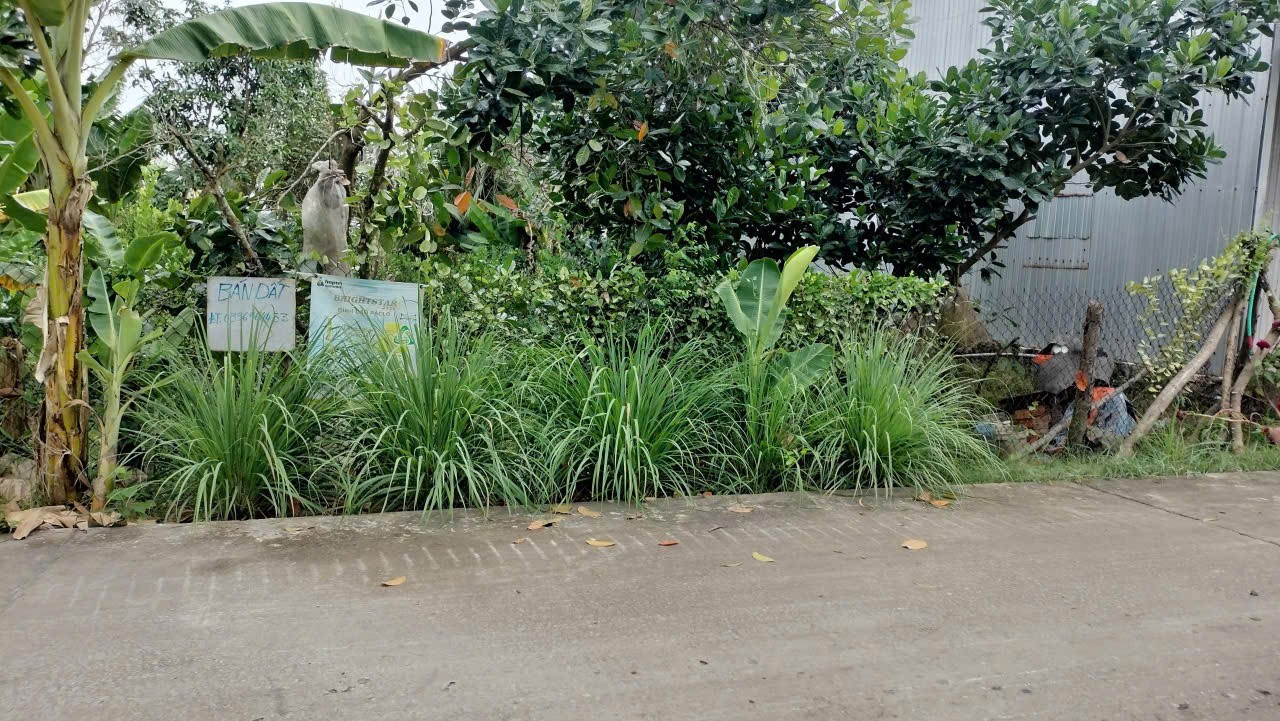 ĐẤT ĐẸP - ĐẦU TƯ SINH LỜI - Chính Chủ Bán 2 Lô Đất Tại Xã Châu Lăng, Tri Tôn, An Giang 15991964