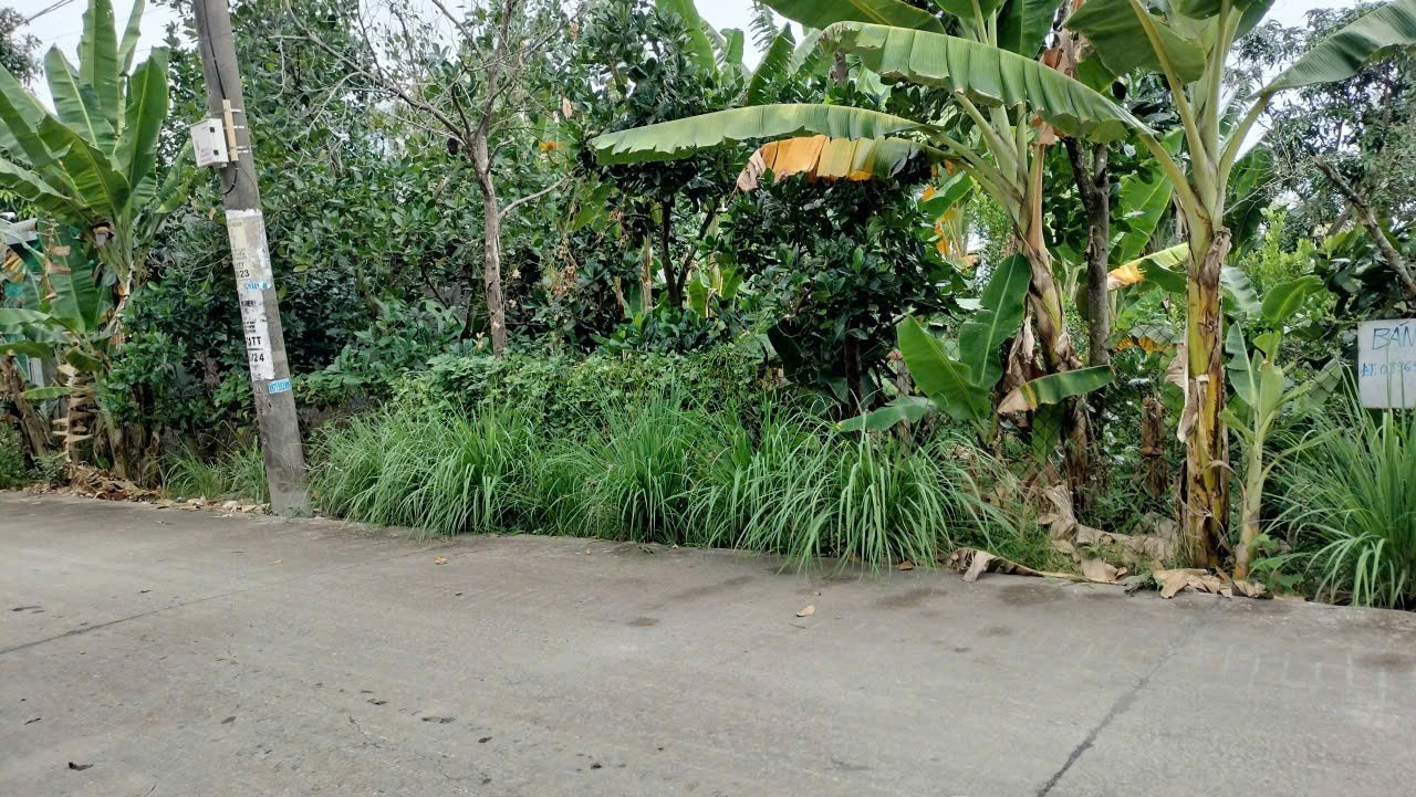 ĐẤT ĐẸP - ĐẦU TƯ SINH LỜI - Chính Chủ Bán 2 Lô Đất Tại Xã Châu Lăng, Tri Tôn, An Giang 15991964