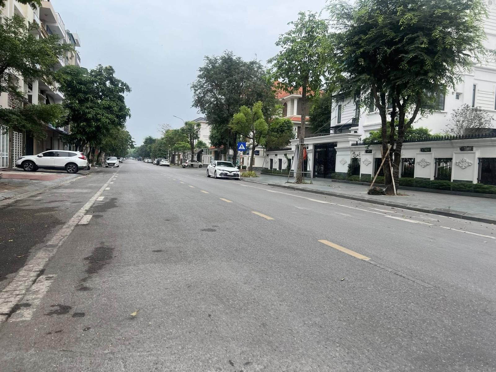 Bán đất mặt đường Đinh Tiên Hoàng, Đông Nam Cường, TP HD, 68m2, mt 4m, đường 21.5m 15992031