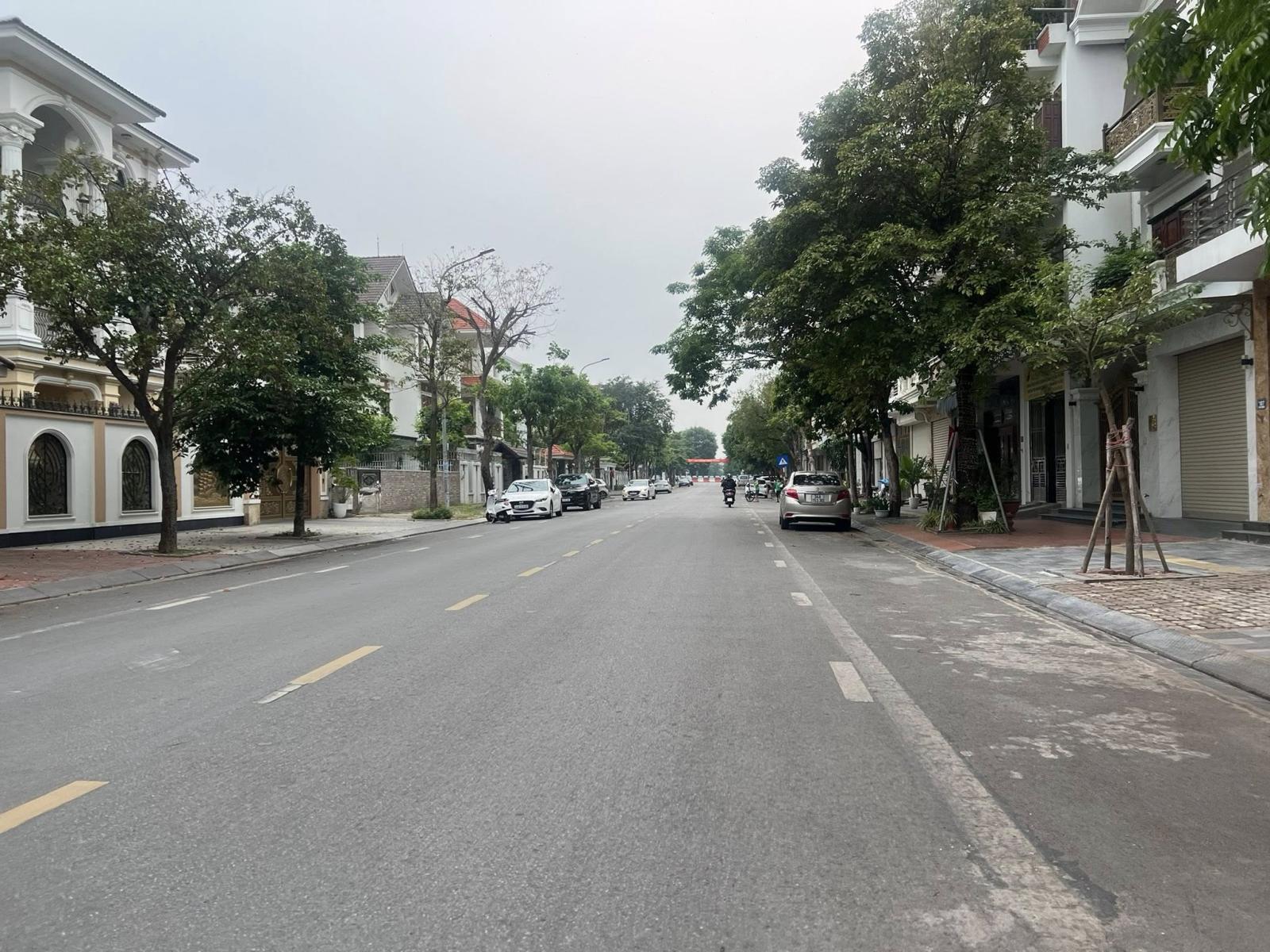 Bán đất mặt đường Đinh Tiên Hoàng, Đông Nam Cường, TP HD, 68m2, mt 4m, đường 21.5m 15992031