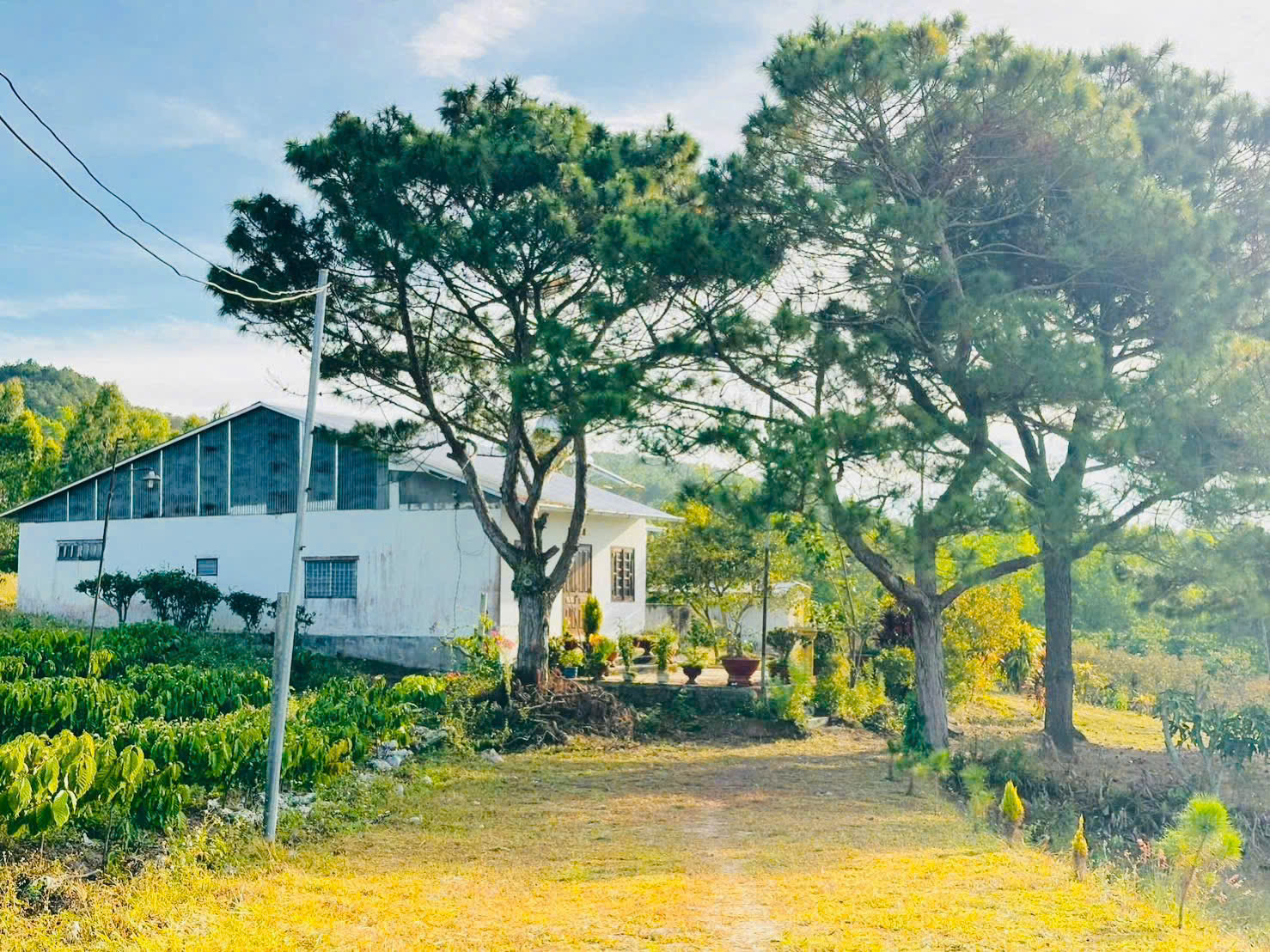 725TR - Đón đầu nút giao cao tốc -  Đất thổ cư ven Đà Lạt chỉ còn tính bằng ngày 15992160