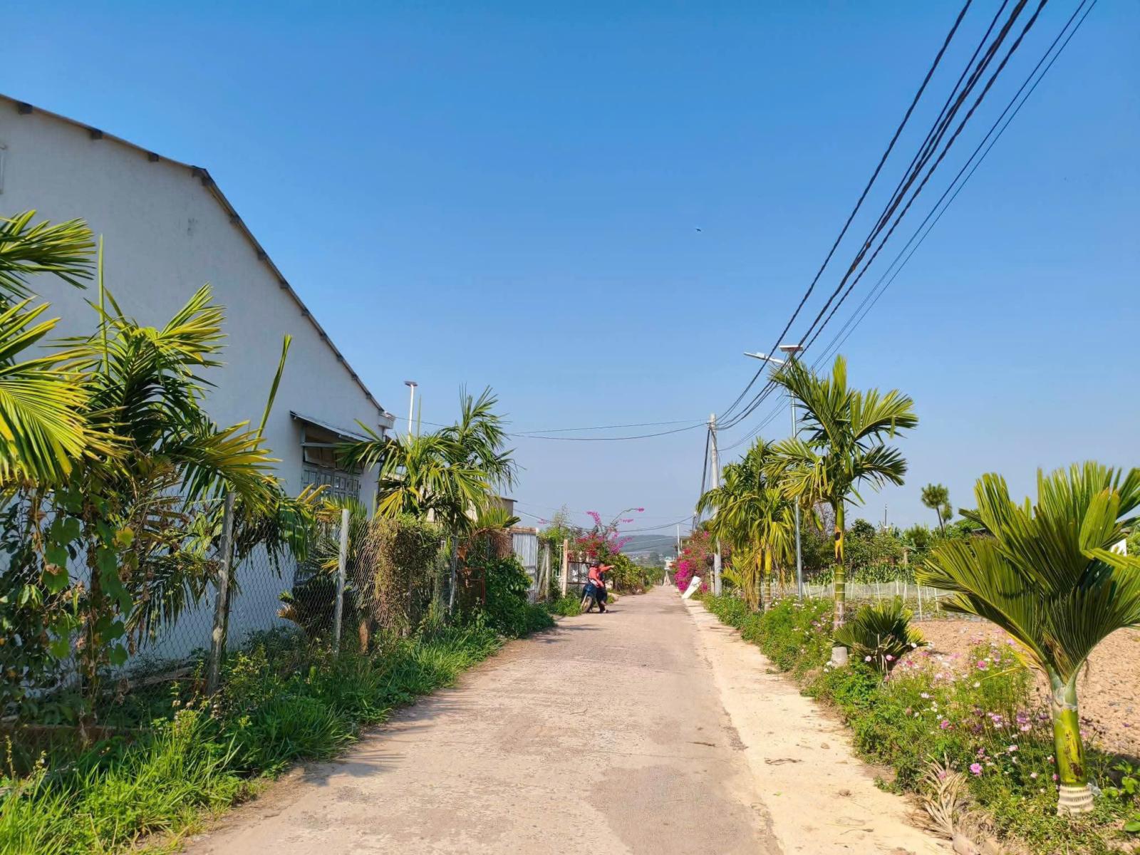 725TR - Đón đầu nút giao cao tốc -  Đất thổ cư ven Đà Lạt chỉ còn tính bằng ngày 15992160