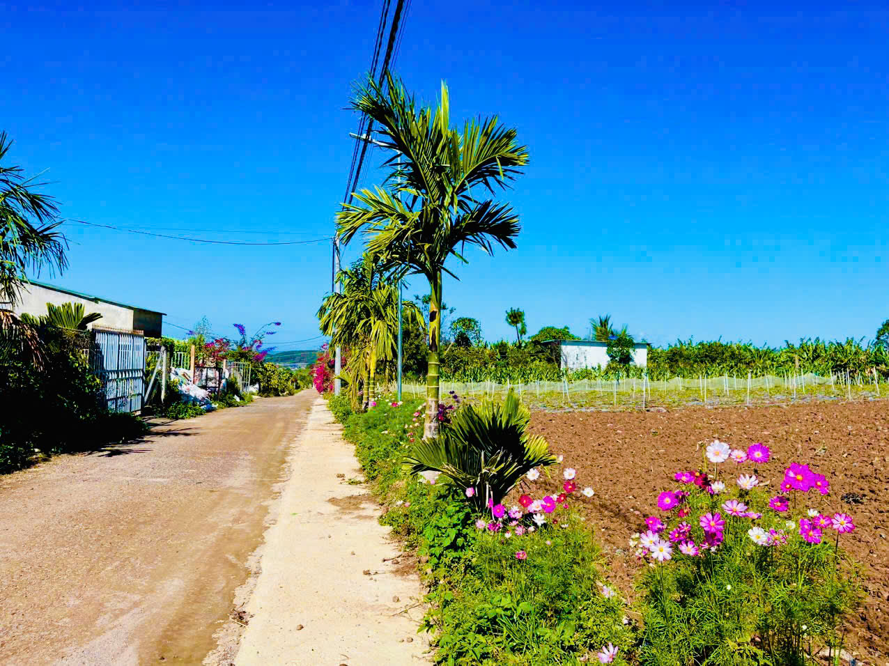 725TR - Đón đầu nút giao cao tốc -  Đất thổ cư ven Đà Lạt chỉ còn tính bằng ngày 15992160