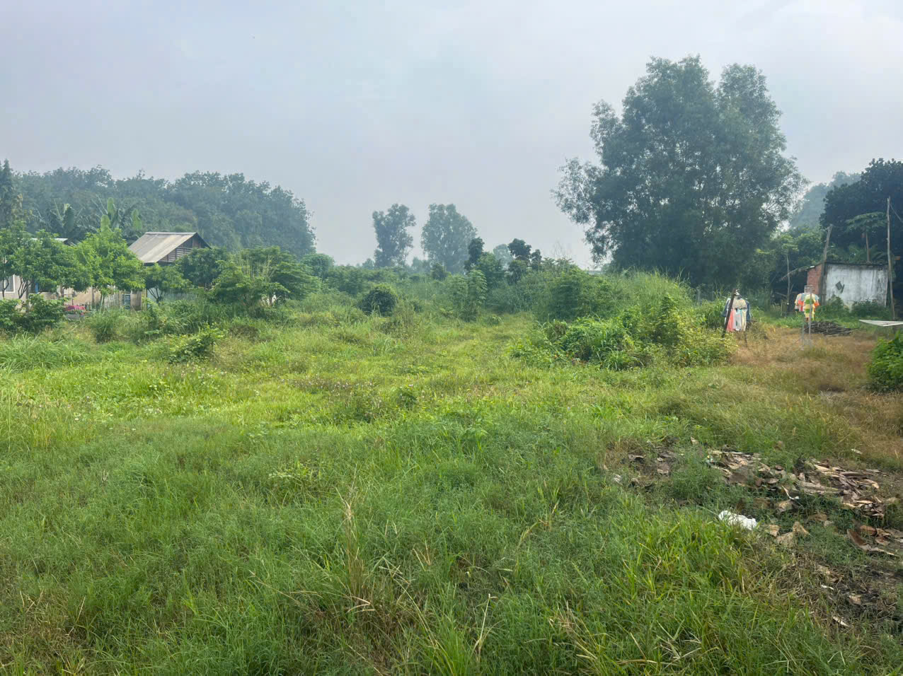 SIÊU PHẨM 2 MẶT TIỀN TỈNH LỘ 15 – 2.500m² – KINH DOANH ĐỈNH CAO CỦ CHI 15992247