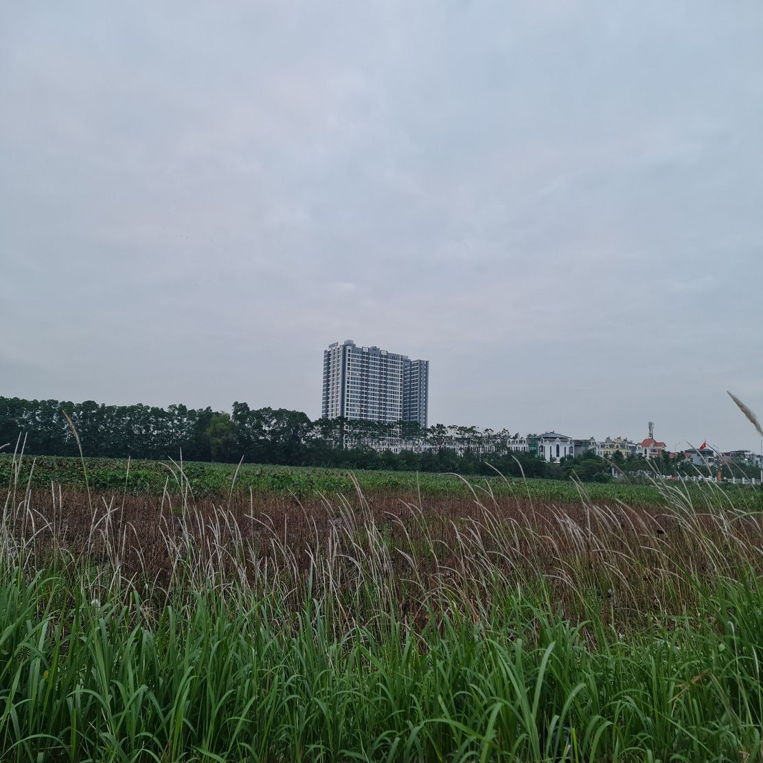 Bán Shophouse 78m2 5 tầng mặt đường 25m tại Trâu Quỳ giá 20 tỷ x Lh 0989894845 15992294