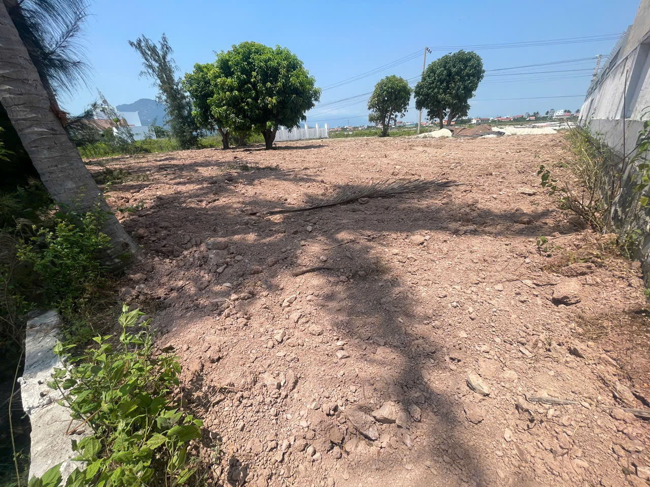 SIÊU PHẨM ĐẤT BIỂN DỐC LẾT – GIÁ TỐT ĐẦU TƯ 15992311