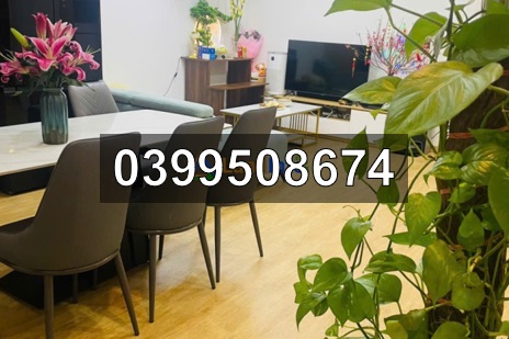 ⭐️CHÍNH CHỦ bán nhanh CHCC P.1924 toà HH02D (5 toà mới) Thanh Hà Mường Thanh, Hà Nội, 0399508674 15992341