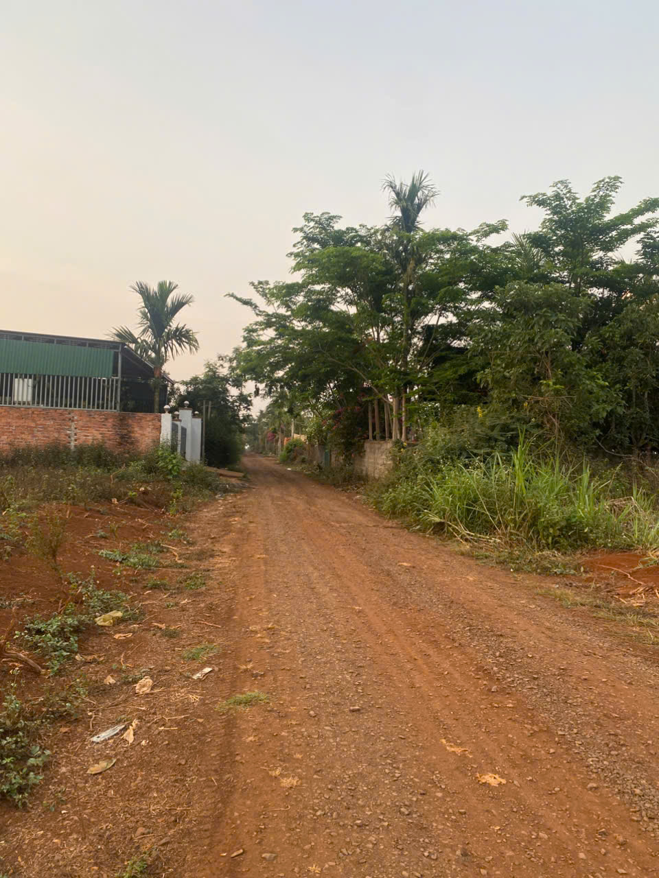 ĐẤT ĐẸP- GIÁ TỐT CHÍNH CHỦ CẦN BÁN NHANH LÔ ĐẤT HOÀNG QUỐC VIỆT, Phường BUÔN HỒ , Tỉnh ĐĂK LĂK 15992395