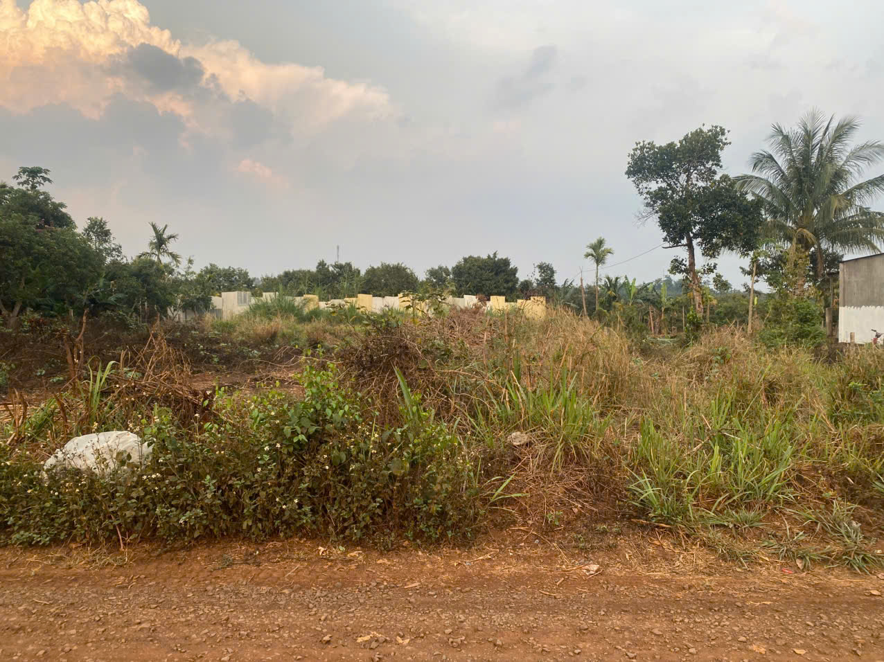 ĐẤT ĐẸP- GIÁ TỐT CHÍNH CHỦ CẦN BÁN NHANH LÔ ĐẤT HOÀNG QUỐC VIỆT, Phường BUÔN HỒ , Tỉnh ĐĂK LĂK 15992395