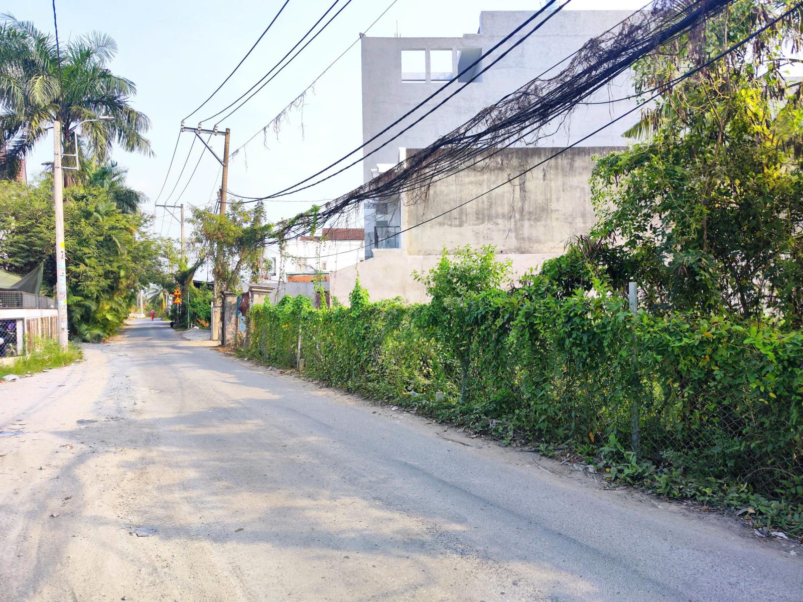 CẦN BÁN 115M2 ĐẤT THỔ CƯ MT ĐƯỜNG KINH T11 GẦN QL1A 15992439