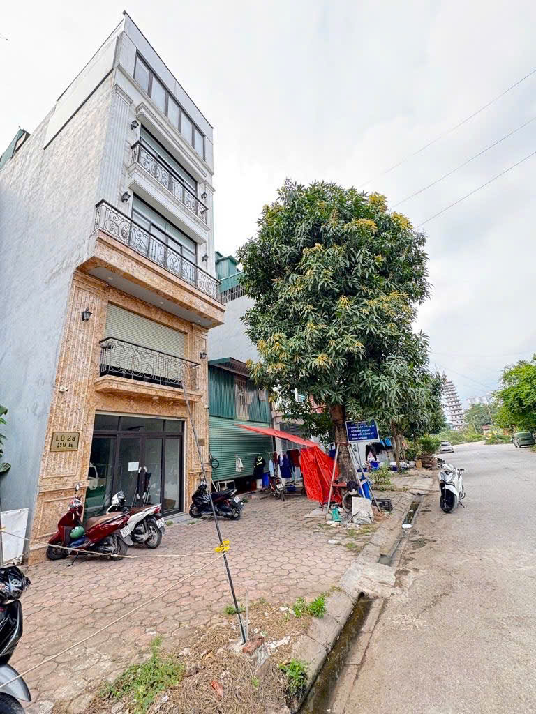 Bán Gấp -  Đất phân lô KDT LINH Đàm giá siêu rẻ 65m2 sổ đỏ – 16.99 tỷ 15992443