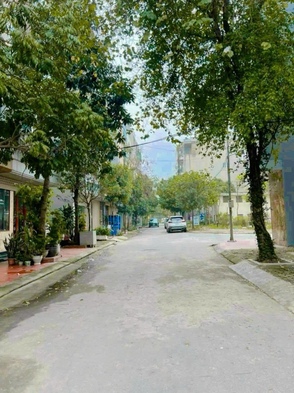 LỠ ĐU ĐỈNH VÀNG, GIỜ PHẢI BÁN ĐẤT 100M2 2 TỶ8 15992467