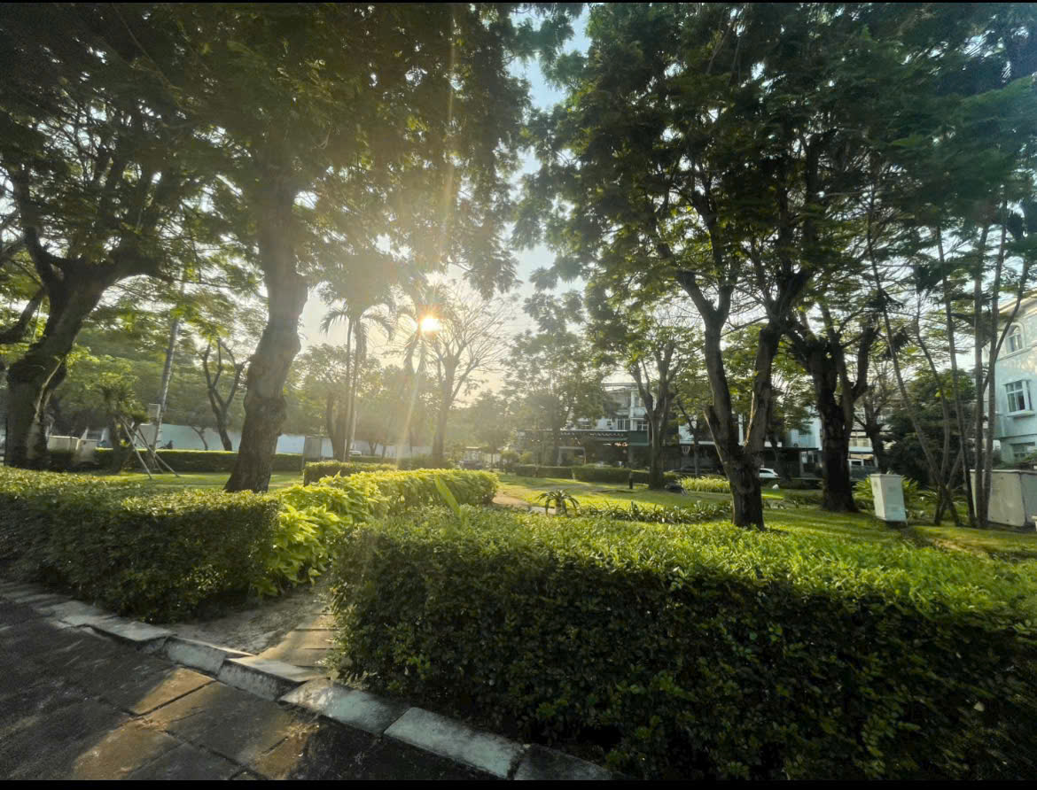 BÁN 2 LÔ ĐẤT VỊ TRÍ ĐẸP QUẬN 7 – CƠ HỘI ĐẦU TƯ HIẾM CÓ 15992487