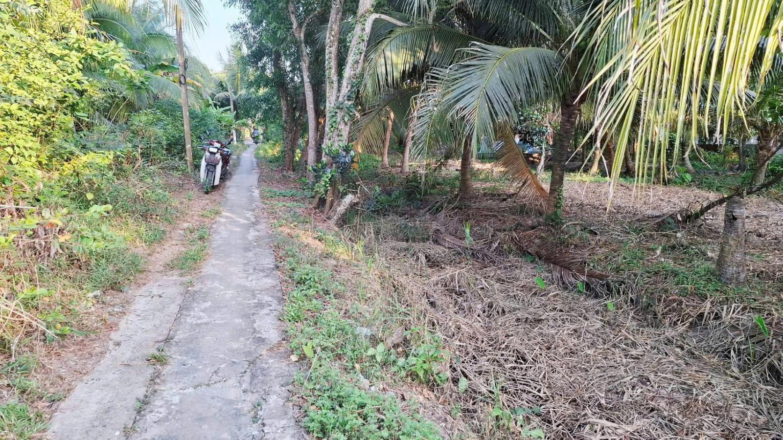 CHÍNH CHỦ CẦN BÁN LÔ ĐẤT CÓ VỊ TRÍ ĐẸP TẠI PHƯỜNG PHƯỚC HẬU - TP.VĨNH LONG - VĨNH LONG 15992494