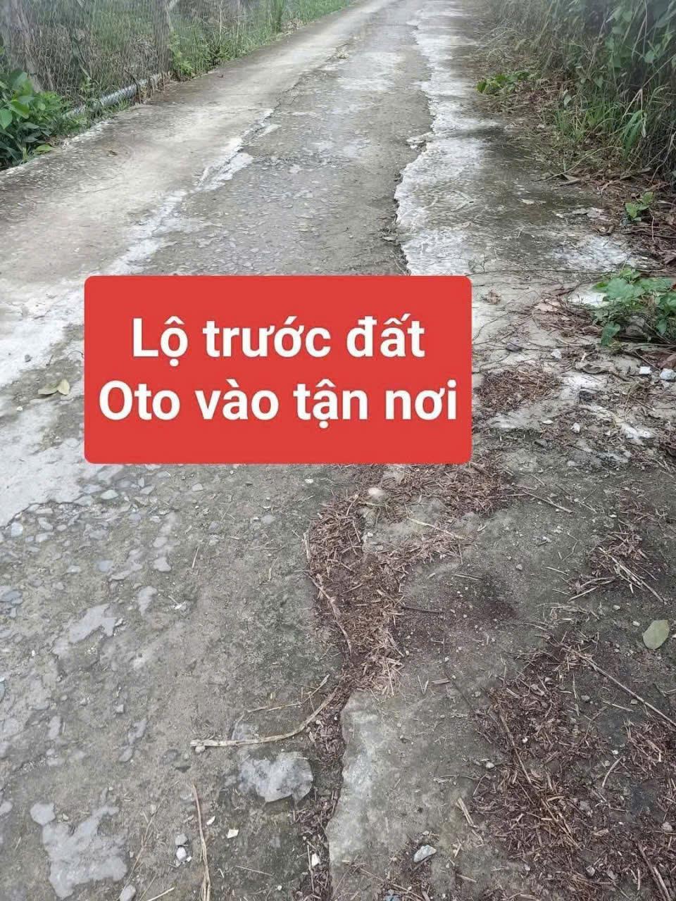 Giảm ngay 100tr - Sở hữu ngay vườn trái cây đẹp - Xã An Bình, Vĩnh Long - Khu dân cư hiện hữu 15992536