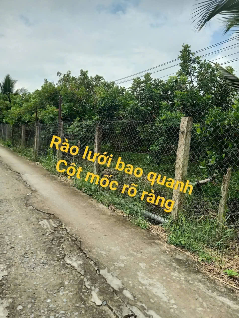 Giảm ngay 100tr - Sở hữu ngay vườn trái cây đẹp - Xã An Bình, Vĩnh Long - Khu dân cư hiện hữu 15992536