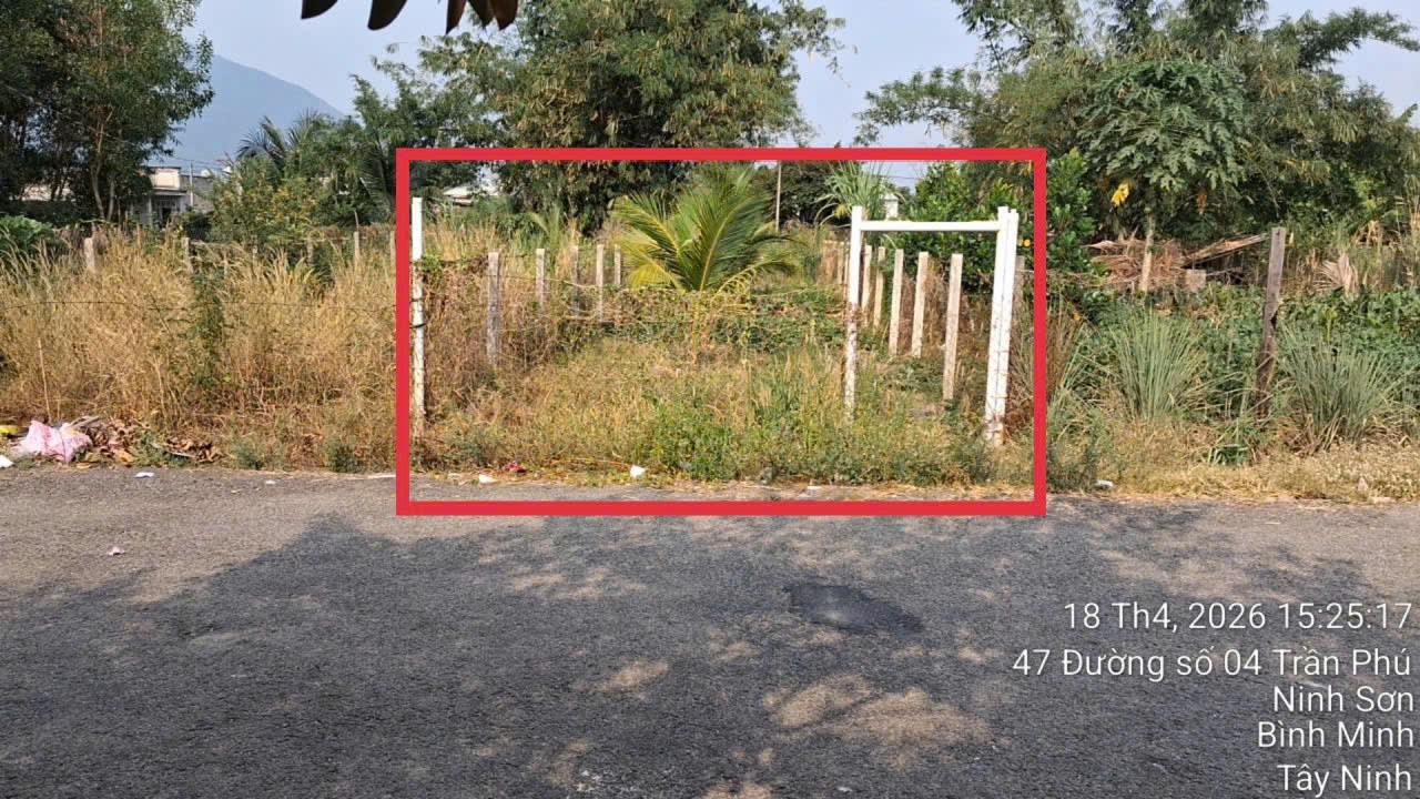 VỊ TRÍ ĐẸP – GIÁ TỐT  – Chính Chủ Bán Đất Đường số 24 đường Bời Lời, Phường Bình Minh, Tây Ninh 15992580