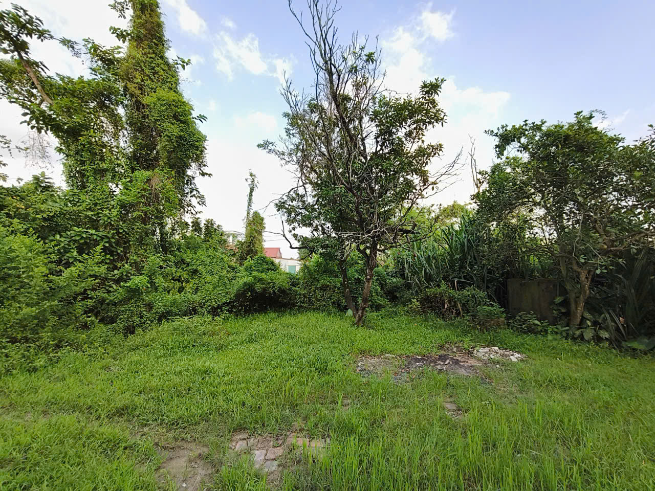 Đất thổ cư Tu Lễ, Kim Đường, 190m2, MT7.5m, nở hậu, 2 thoáng, 2 tỷ Ứng Hòa 15992751