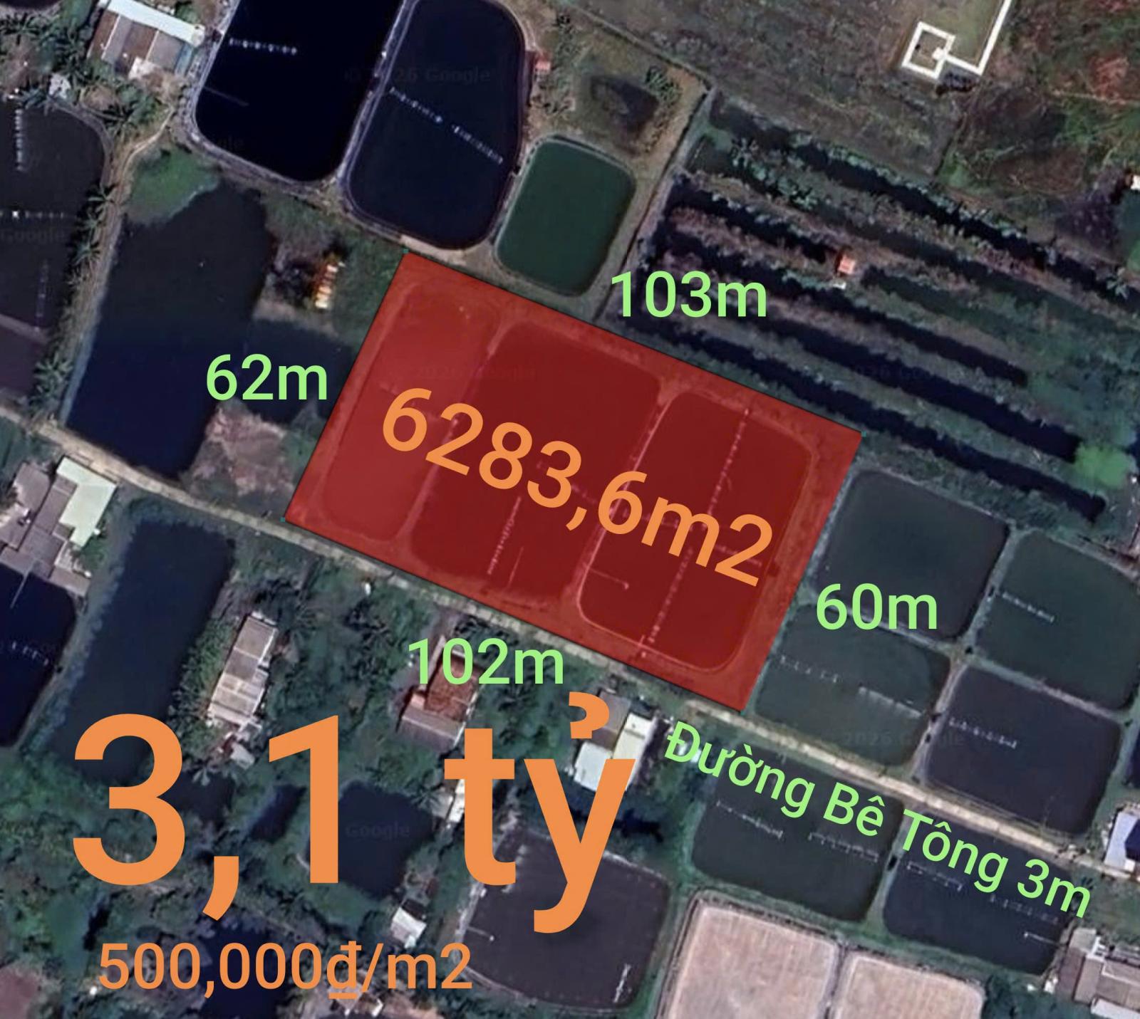 Bán gấp lô lúa chuyển thổ phân lô giá đầu tư 3,1 tỷ 15993112