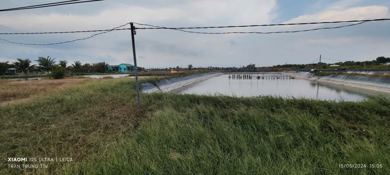 Bán gấp lô lúa chuyển thổ phân lô giá đầu tư 3,1 tỷ 15993112