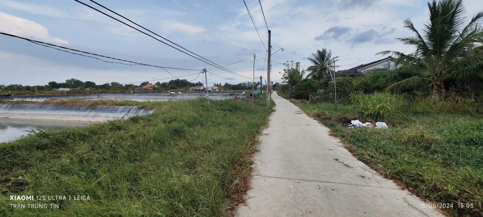 Bán gấp lô lúa chuyển thổ phân lô giá đầu tư 3,1 tỷ 15993112