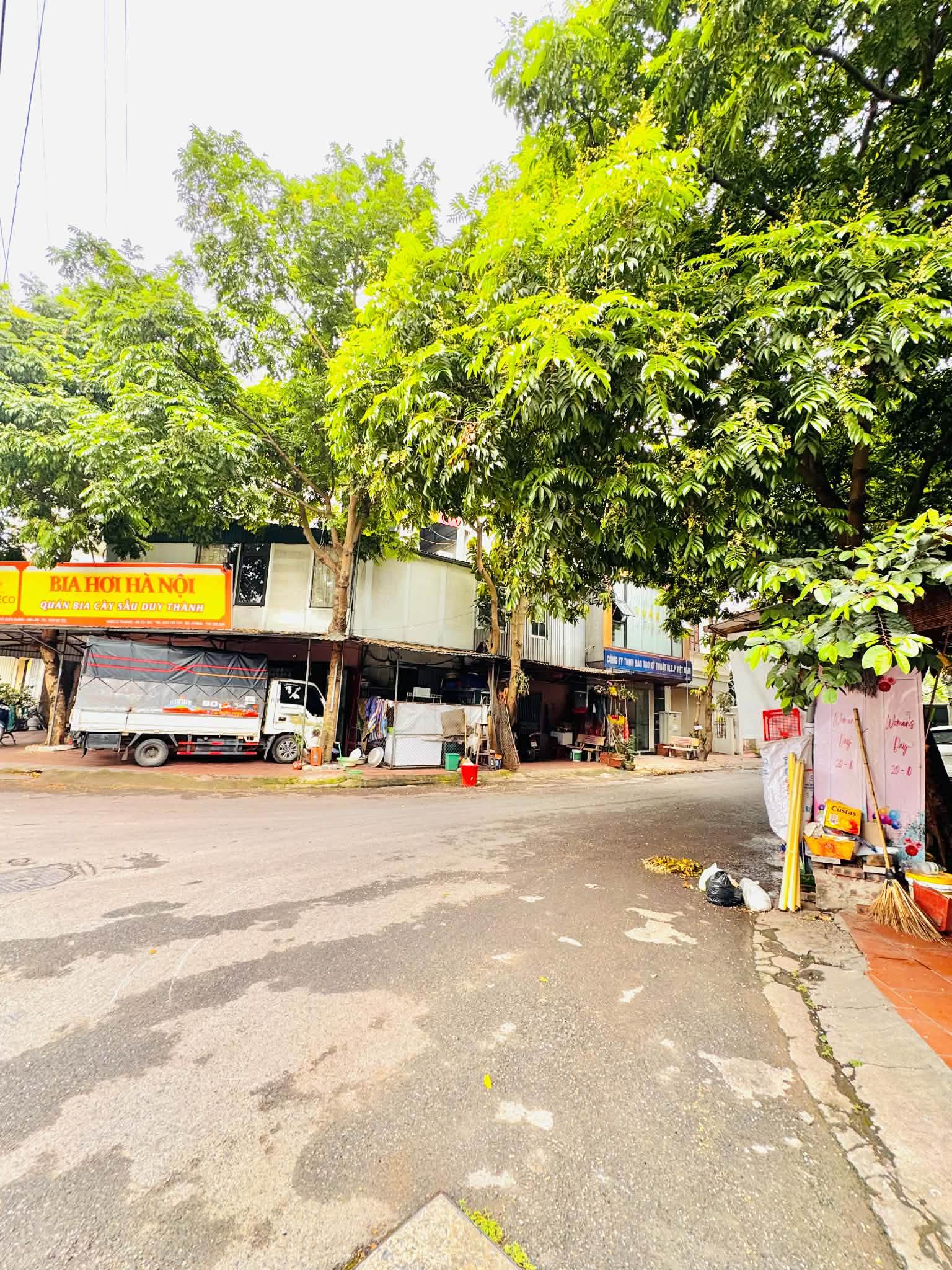 Bán đất biệt thự khu đấu giá 31ha Trâu Quỳ/Gia Lâm lô góc 140m2 đầu tư tiềm năng, đắc địa 15993114